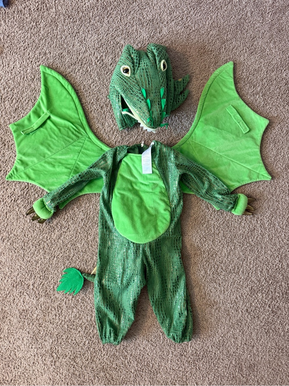 Pottery Barn Kids green Dragon Costume with Wings